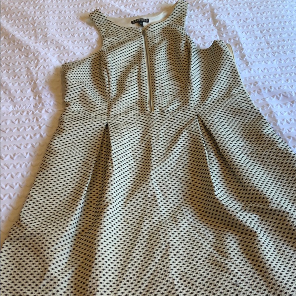 Express fit and flare dress